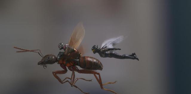 《蚁人2》彩蛋解析:无论灭霸打几个响指,蚁人