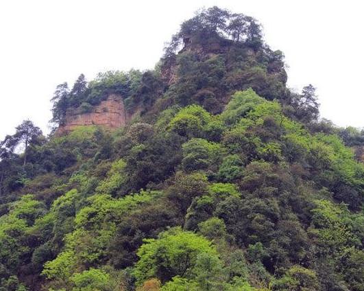 山老林、山间瀑布让人迷恋,亲近大自然感受静