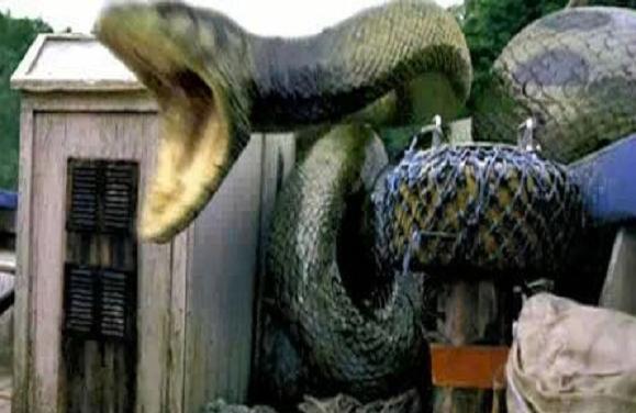 龙形山脉孕育出千年蛇妖,高人将其镇压成为风水宝地