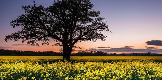 立春读古诗感怀春光暖--于石咏春诗词欣赏