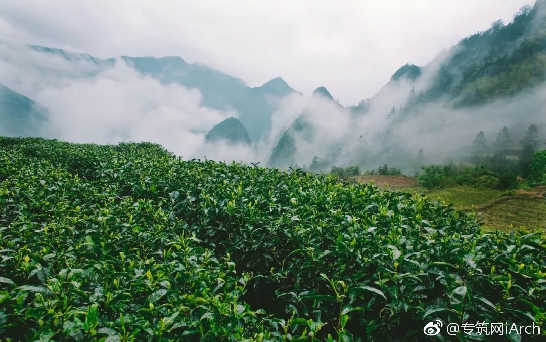 实施乡村振兴战略|遂昌县正式启动乡村新公厕