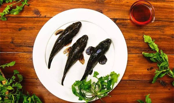 中国四大名鱼,皇帝御赐的江南第一名鱼,你吃