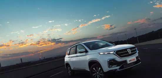 现在有一个与自由潜水达人一起“观鲨”的机会……