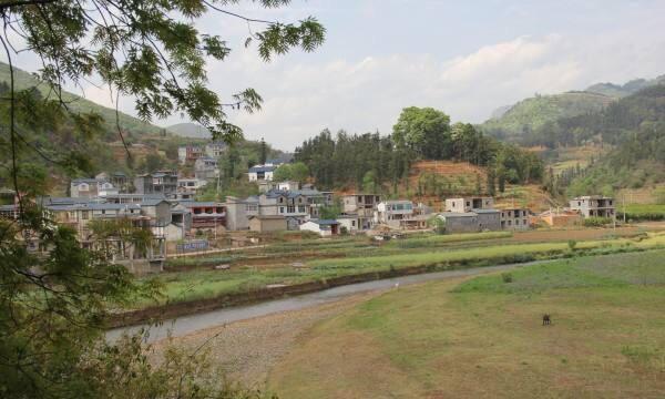 中国唯一一个有“油菜花之乡“之称的城市