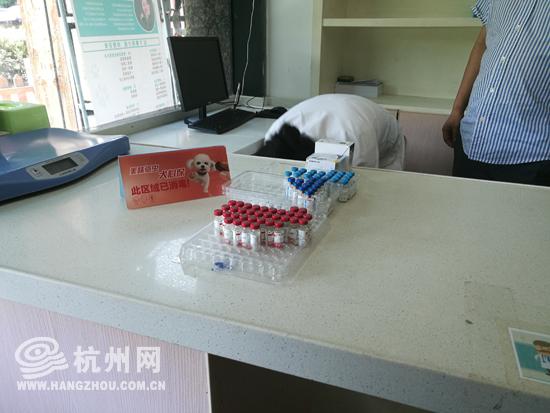 宠物医院也可以打疫苗了 杭州试点7家犬类狂犬