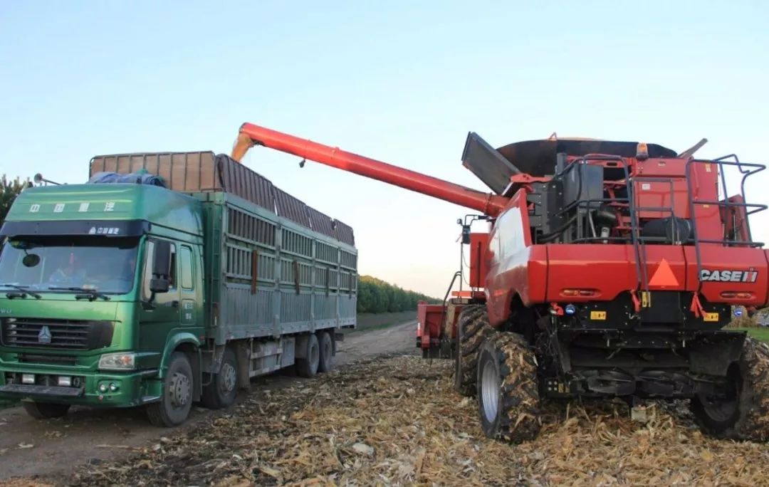 全世界最厉害的农业机械化在美国?你们都搞错