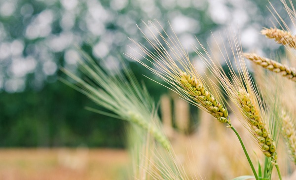 2018年5月营销热点日历