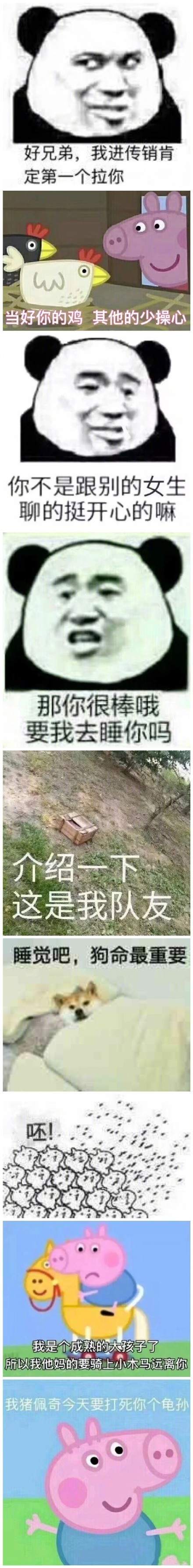 一组必备表情包合集,尬聊撩人怼人有它就够了!原图戳图 9