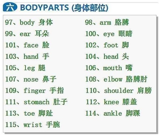 英语单词分类汇总,让孩子每天记,1000个单词很