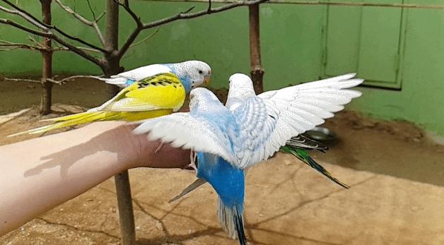 一拍即合 隨心所欲，淺談三星Galaxy S9/S9+相機(jī)體驗