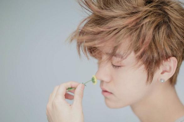 鹿晗演唱会上座率成焦点,奔跑中的小鹿,勇往直