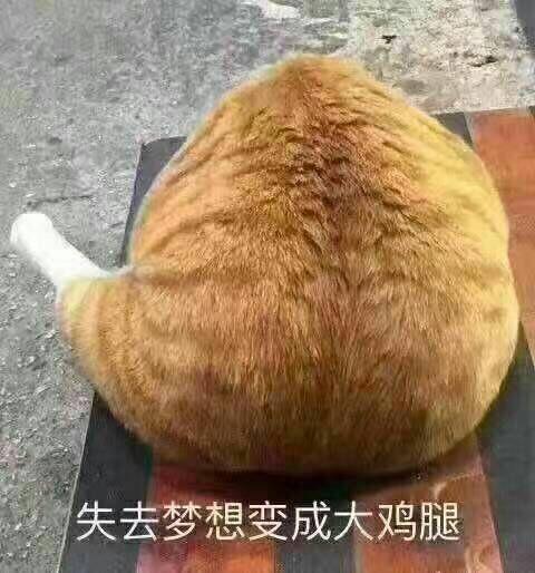 最近在用的可爱猫猫手机如何表情编辑表情动态包图片