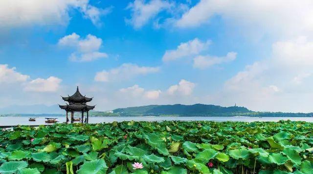 藏于城中心的“花园庭院”，距西湖仅5公里，正是带娃自驾好去处