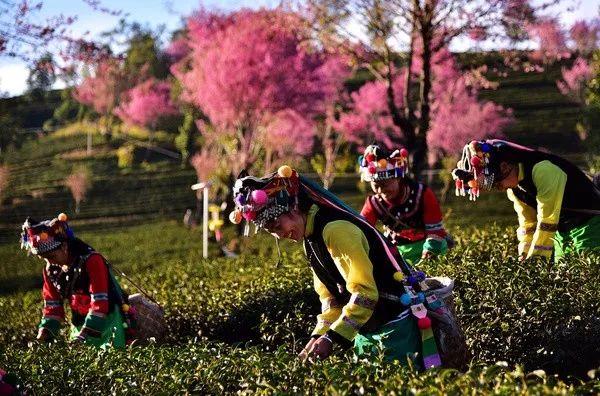 国内7大最美环湖公路,自驾者的终极梦想!你自驾过几条?