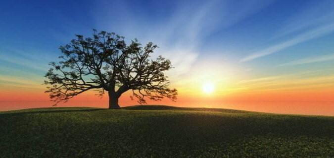 学生上体验死亡课, 重生感言颇深! 看中国人和