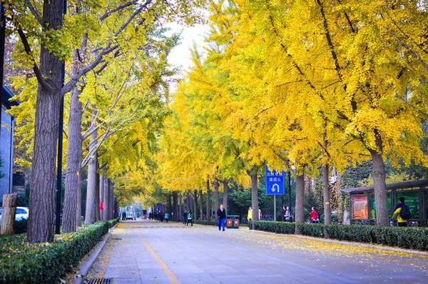 苏老师说自招:2018年北京林业大学自主招生简