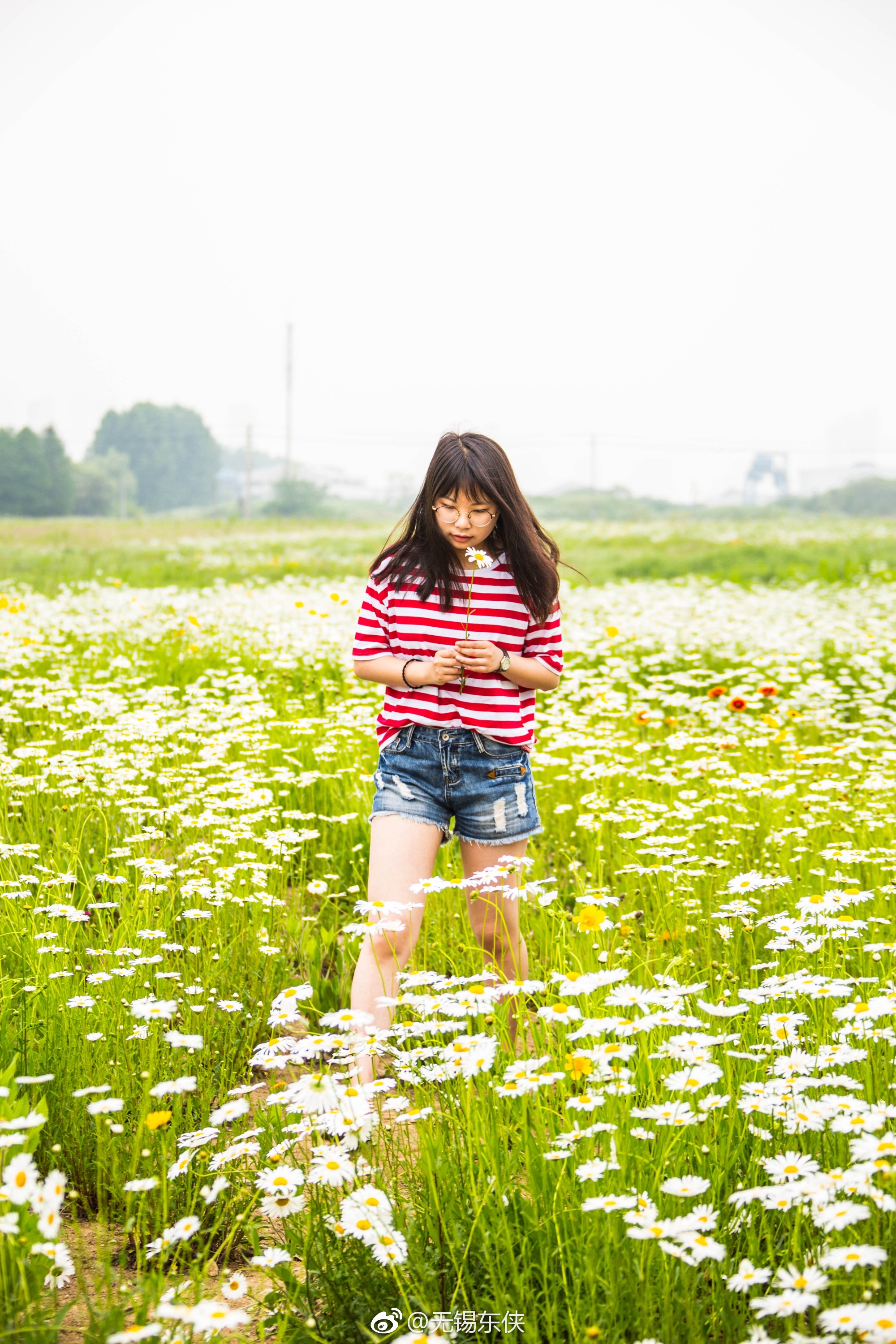 花儿与微笑。请把你的歌带回我的家,请把你的微笑留下