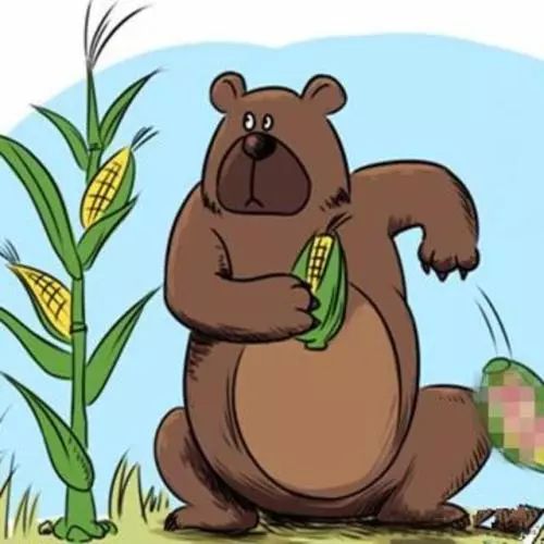 《闪记中考1600词》-bear 熊;出生;忍受;born出