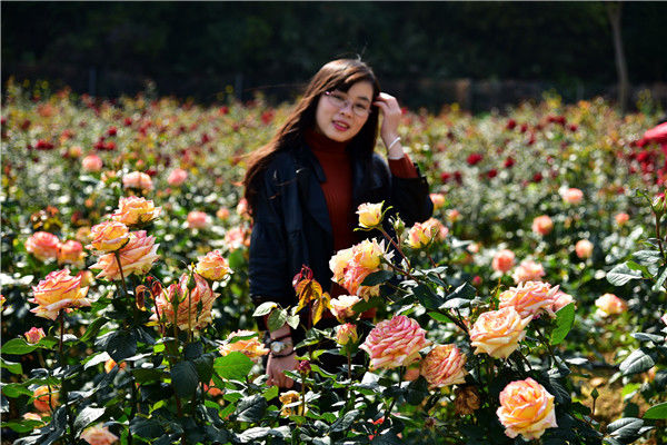 母亲节牵着妈妈的手去游花都农场玫瑰花园