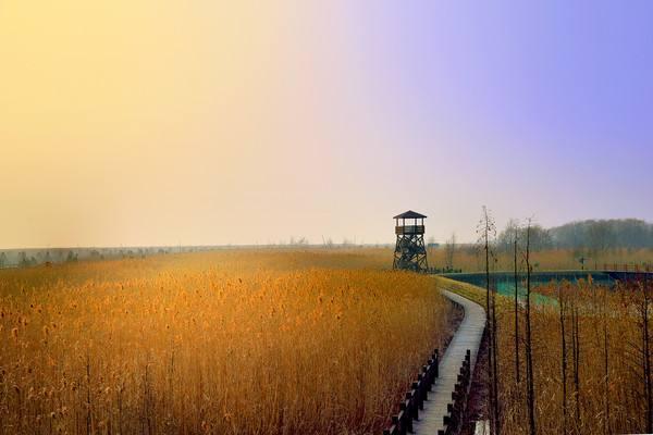 奇怪?为什么崇明岛不全划归上海呢?还要留那么一点给江苏呢?