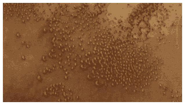 ?NASA拍摄火星,发现神秘羊群?看上去十分奇