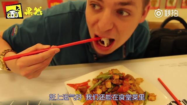 又在食堂菜里吃到虫子？这到底是些什么虫！