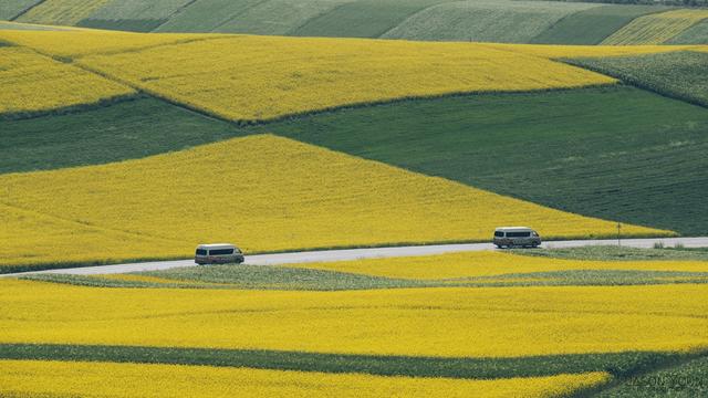 青海有一处人间仙境,却对山东人免票,风景如
