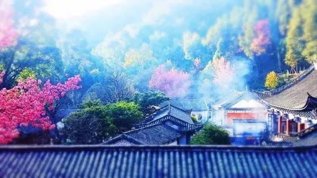 国内7大最美环湖公路,自驾者的终极梦想!你自驾过几条?