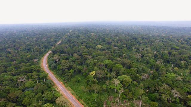 非洲第二大和世界第十一大的刚果, 竟然是正式