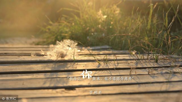 简短低调秀恩爱的句子,朋友圈点赞率超高