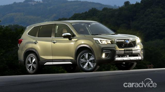 今天我们非诚勿扰 试驾2019款斯巴鲁森林人