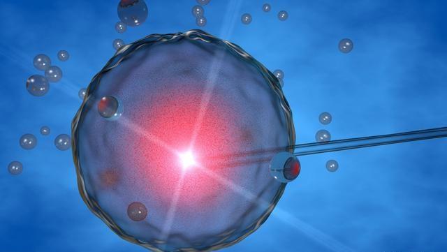 试管婴儿没你想象的那么简单, 怀孕很辛苦, 试管