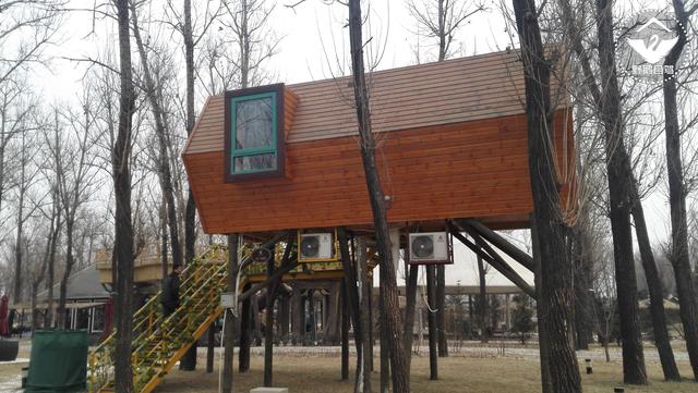 廊坊林栖谷:住神秘树屋,还能泡北方唯一的树上温泉!