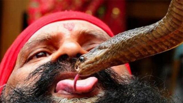 一条蛇身上有60多种寄生虫 看完你还敢吃蛇肉吗?