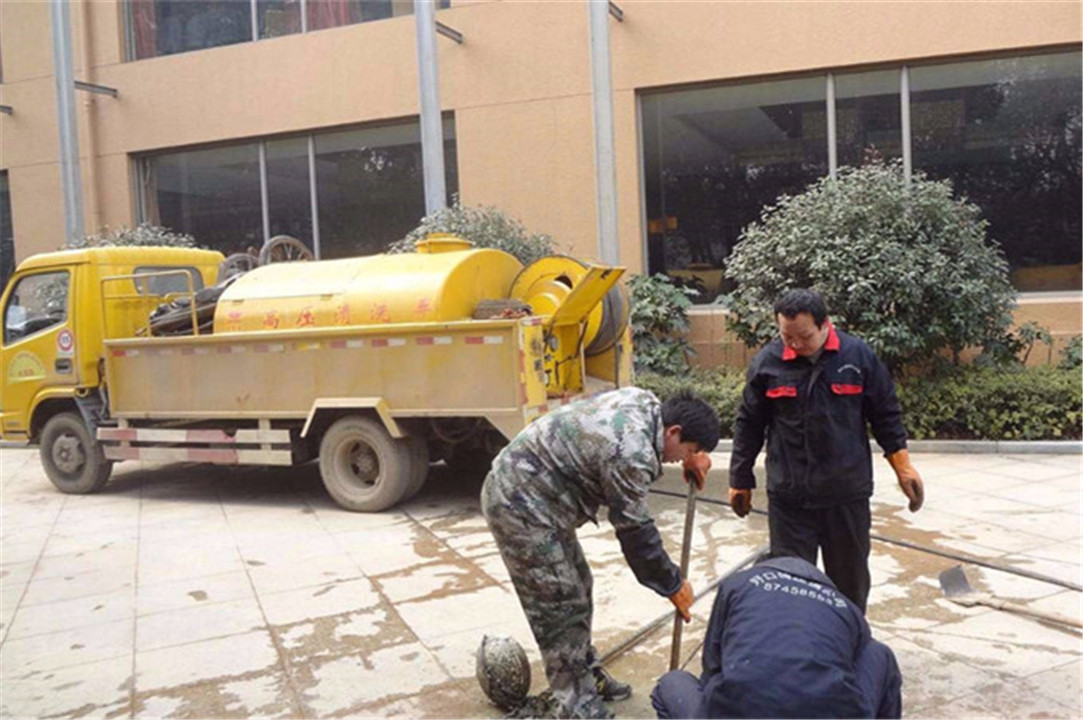 粪便污渍协助迷信家追踪南极企鹅群