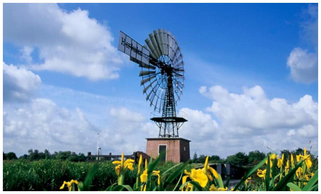 了不起!国土面积太小,这个国家花钱填海,竟用石