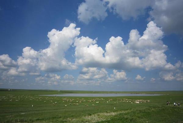 比比 内蒙 新疆 西藏 哪个地方的草原最美