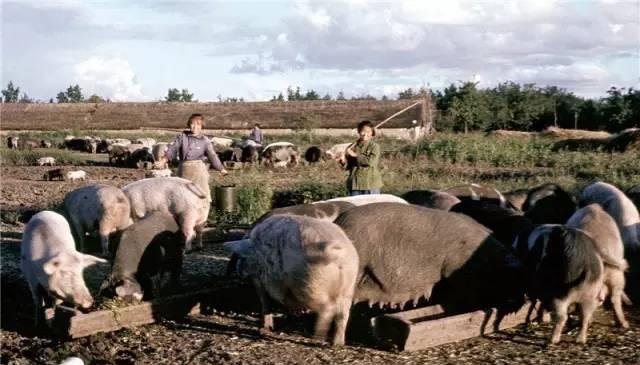 1971年中国农村真实老照片: 想不到70年代的中