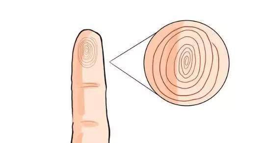 手上几个斗最好命?能成为翘楚,前途无量!