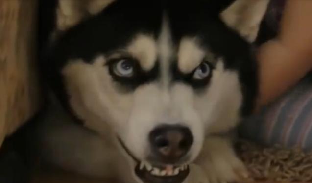 杀气眼神女图片