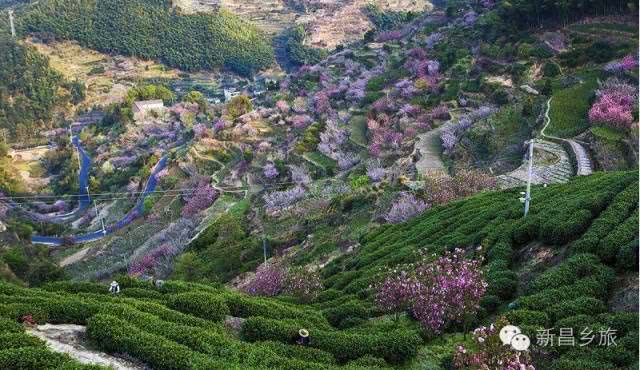 新昌各乡镇人口_新昌各乡镇地图