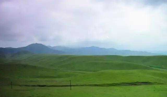 甘南四大美丽大草原