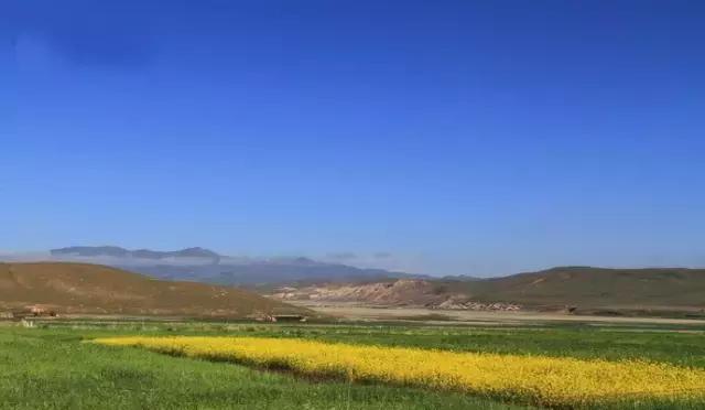 甘南四大美丽大草原