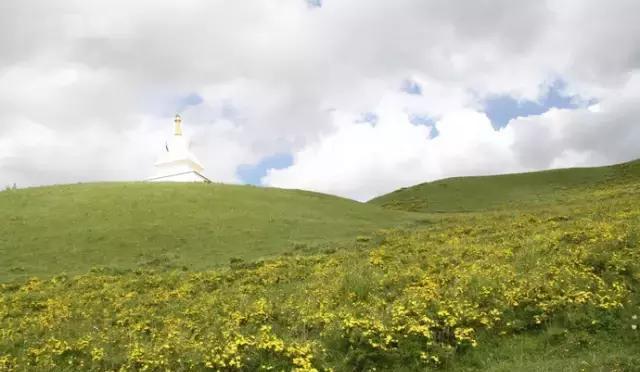 甘南四大美丽大草原