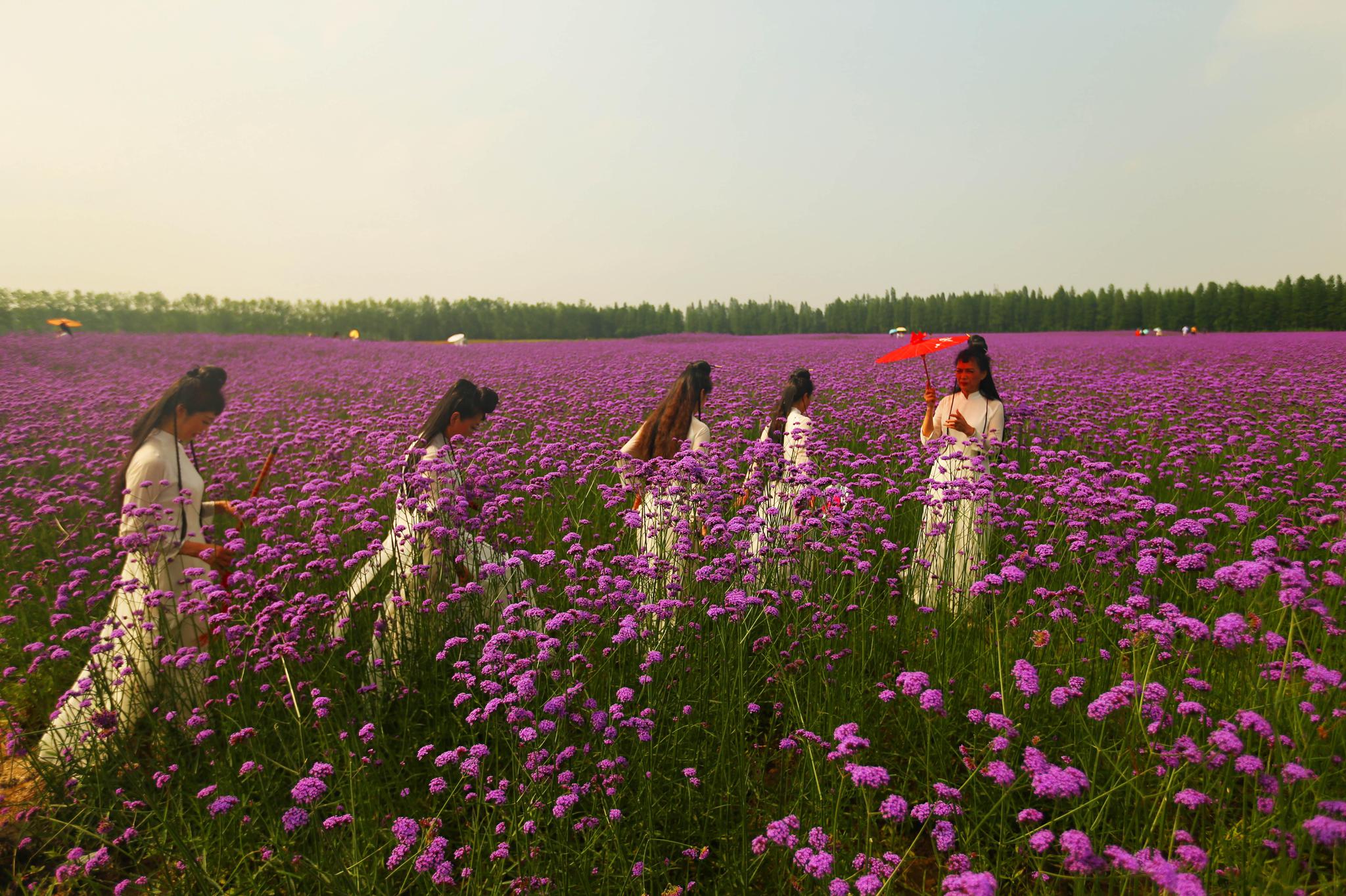 2018中国旅游日湖北分会场在仙桃梦里水乡景