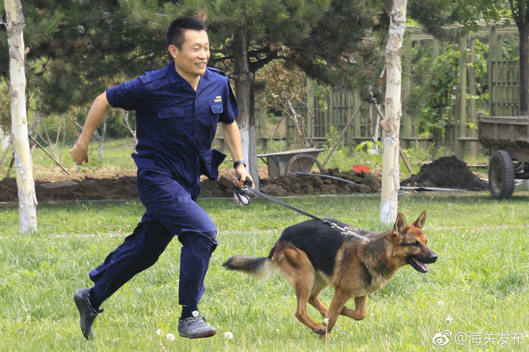缉私犬上岗!一大波美照来袭[舔屏]