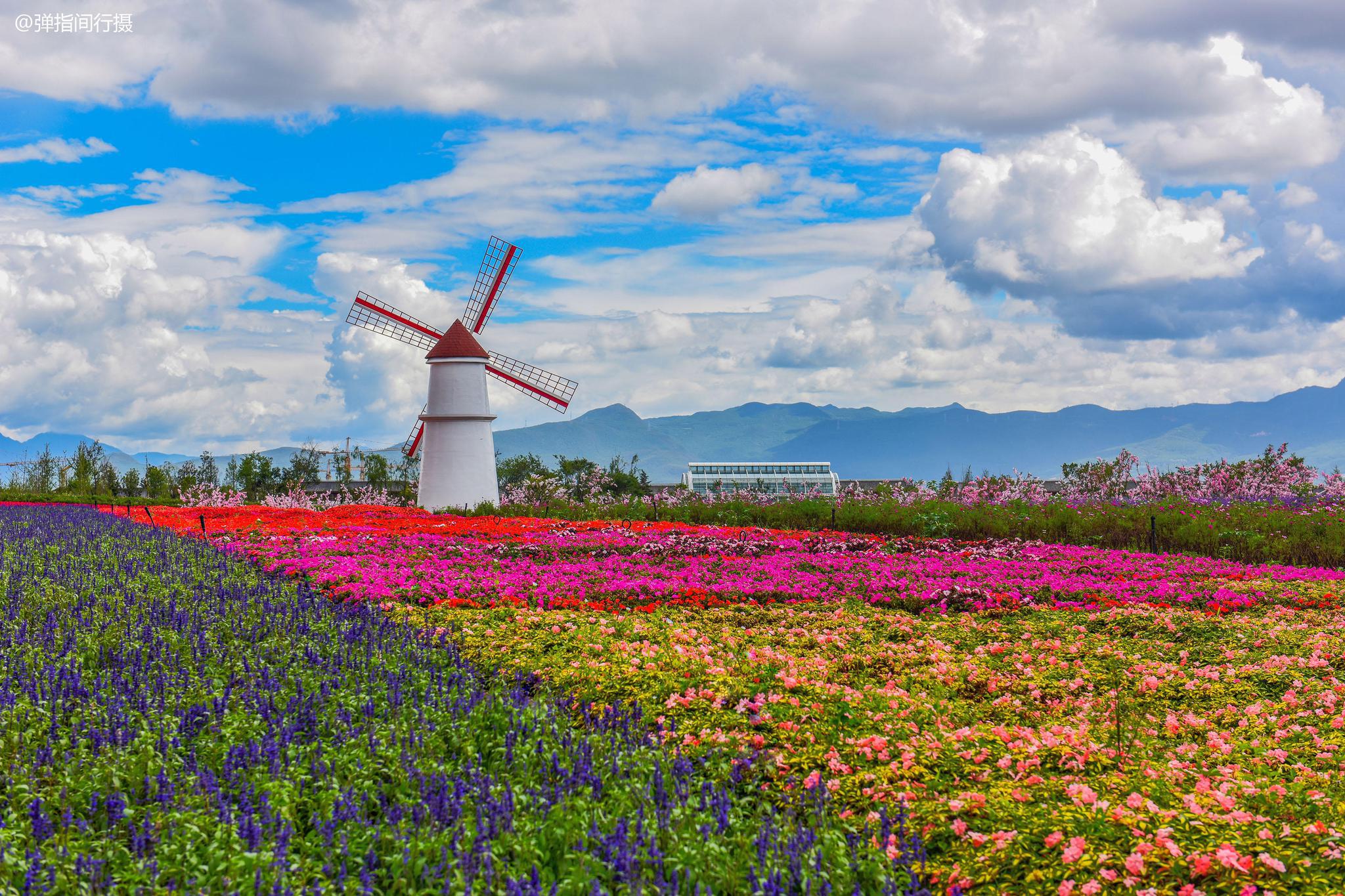 西宁花海公园景点介绍 西宁周边露营好去处