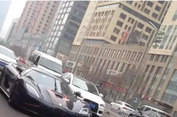 中国最贵的私家车, 保养一次就是一辆宝马的价