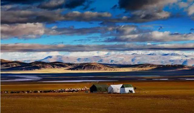 你认为，川藏线自驾游最大的乐趣是什么？