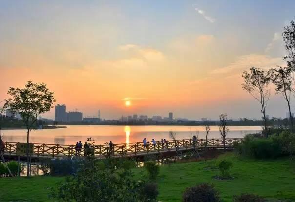 广州近郊免费公园大盘点,周末郊游景点(二)